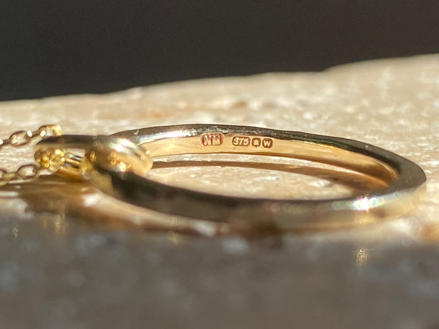 Solid 9ct Yellow Gold Hoop Necklace NM47