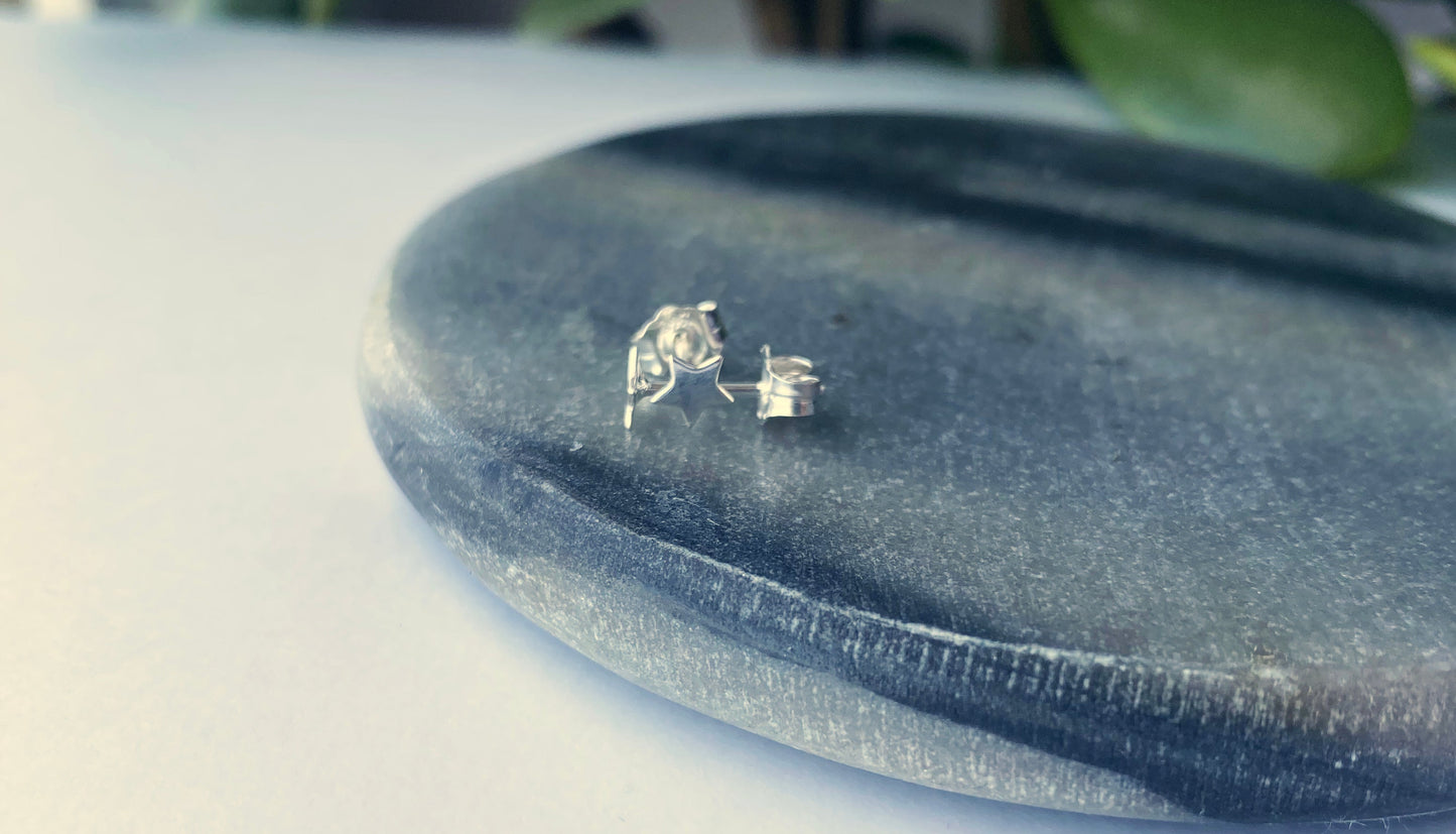 Little star studs NM47